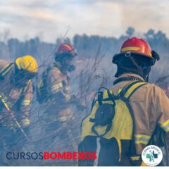 Coordinación de Operaciones en Incendios Forestales y Apoyo a Contingencias en el Medio Natural y Rural
